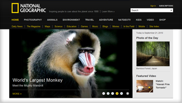 虚拟商品代购的ddos工具下载